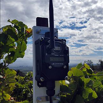 Banner Wireless Connects Wine Maker With Environmental Data From Vineyard
